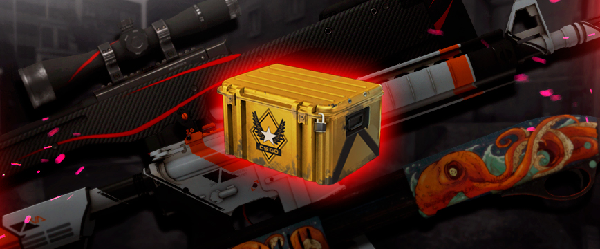 what is in the cs:go weapon case